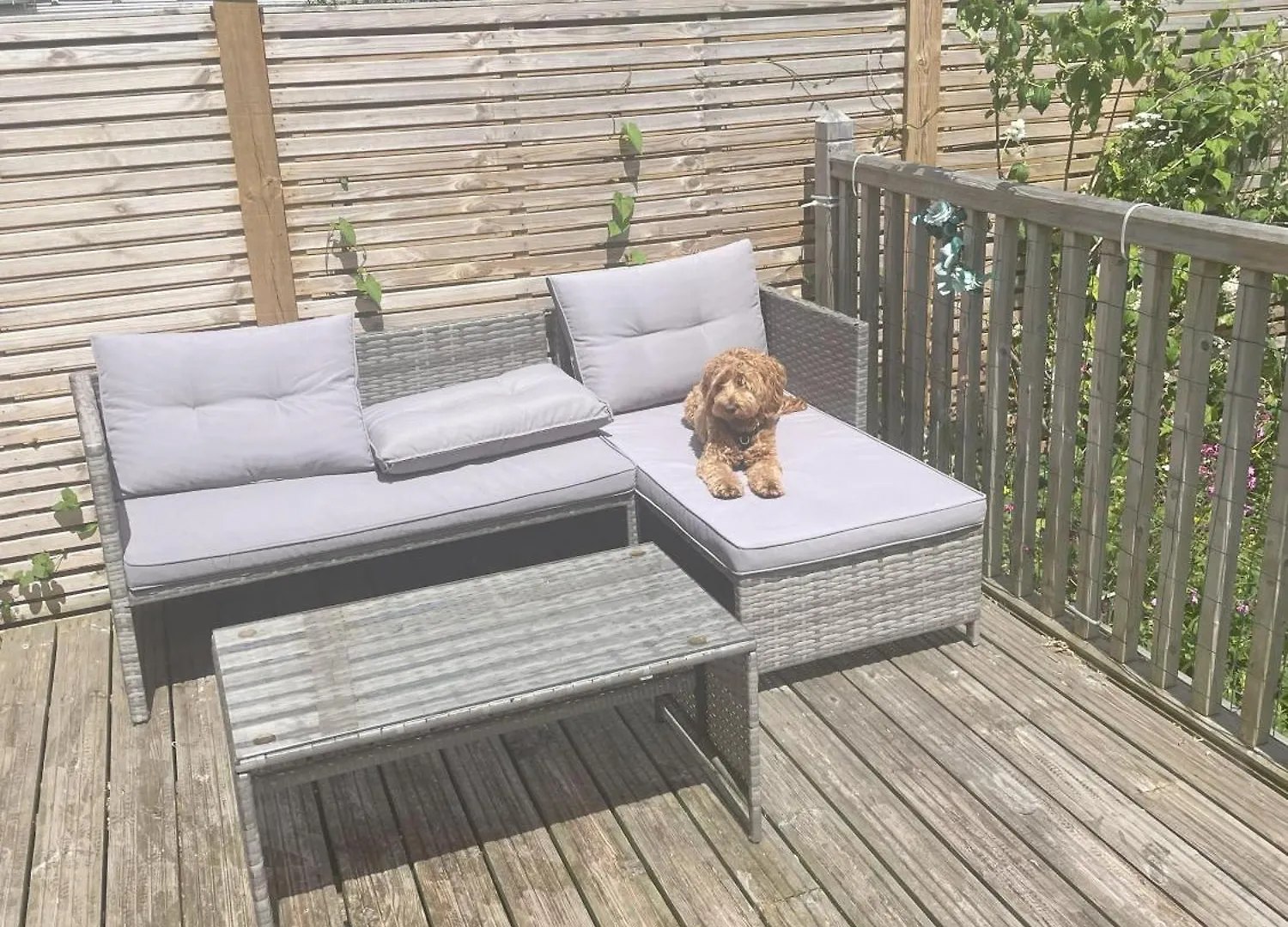 Terry'S Cove - Dogs Welcome Saint Leonards Apartment