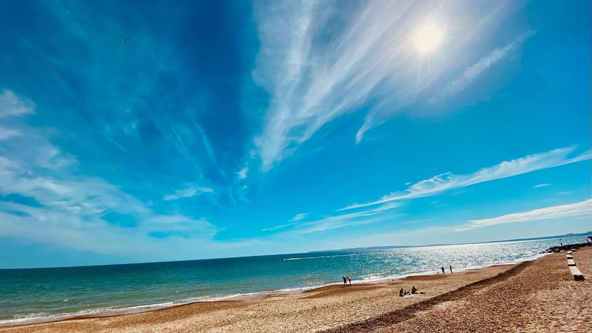 Terry'S Cove - Dogs Welcome Saint Leonards